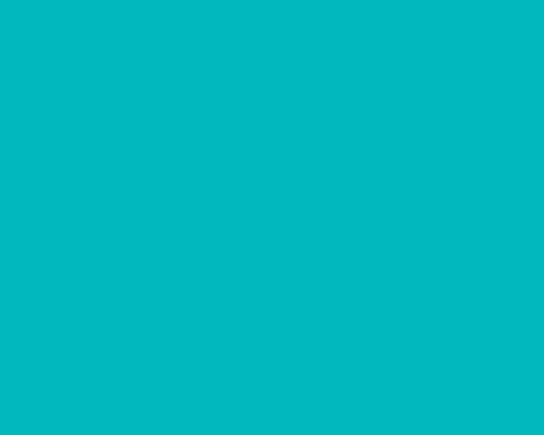 footer-image-banner