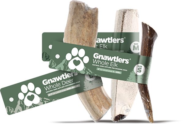 Product Catalogs Pet Parents Wholesale